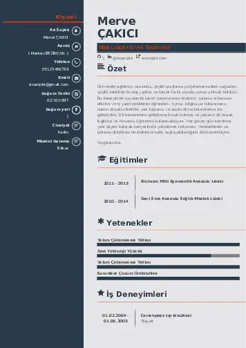 Laboratuvar Teknisyeni Cv Örnekleri cv indir